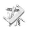 Victorinox - Special Companion Damast Limited Edition 2025