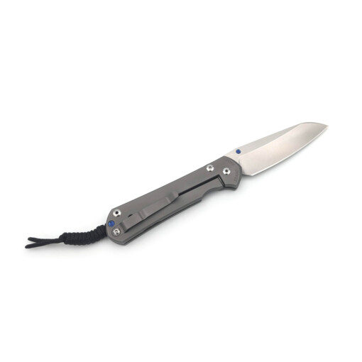 Chris Reeve Knives - Large Sebenza 31 Plain Insingo - L31-1685 – Bild 3