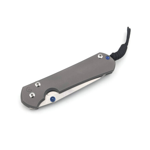 Chris Reeve Knives - Large Sebenza 31 Plain Insingo - L31-1685 – Bild 4