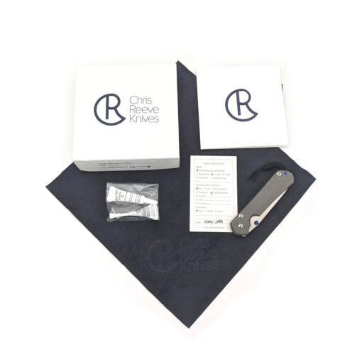 Chris Reeve Knives - Large Sebenza 31 Plain Insingo - L31-1685 – Bild 2