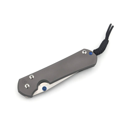 Chris Reeve Knives - Large Sebenza 31 Plain Tanto - L31-1687 – Bild 4