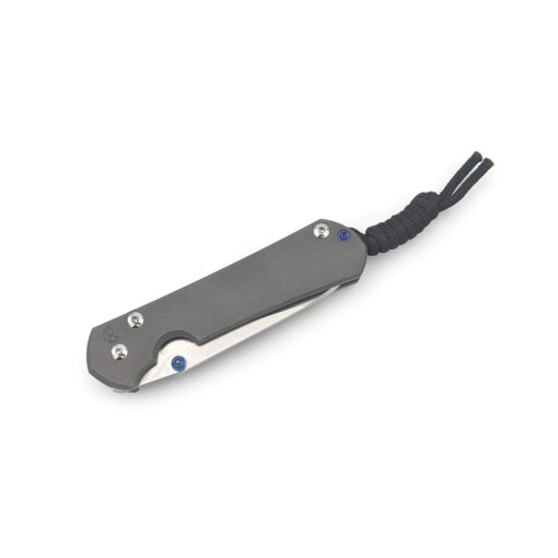 Chris Reeve Knives - Small Sebenza 31 Plain Insingo - S31-1008 – Bild 4