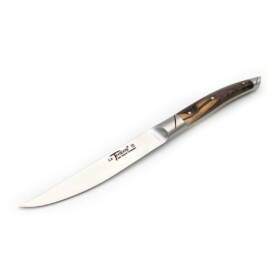 Goyon Chazeau - "Le Thiers" Steakmesser Pistazie