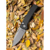 Pro-Tech - Scapegoat Compact, Ramon Chavez Designed, Stonewash MagnaMax Blade, Black - RCS1101