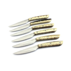 Saladini - Steakmesserset 6-teilig, Sliced Resin