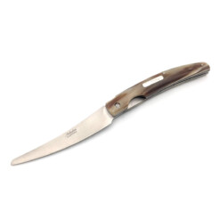 Saladini - Trend Ochsenhorn - 1019 C
