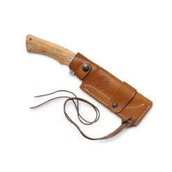 Alternative view of Viper - Gianghi Olive